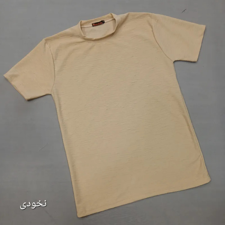 تیشرت بیسکویتی مردانه نخی ساده لارج تا سه ایکس لارج